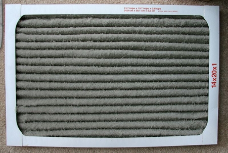 Dirty Air Filter Photo Courtesy Ivy Dawned