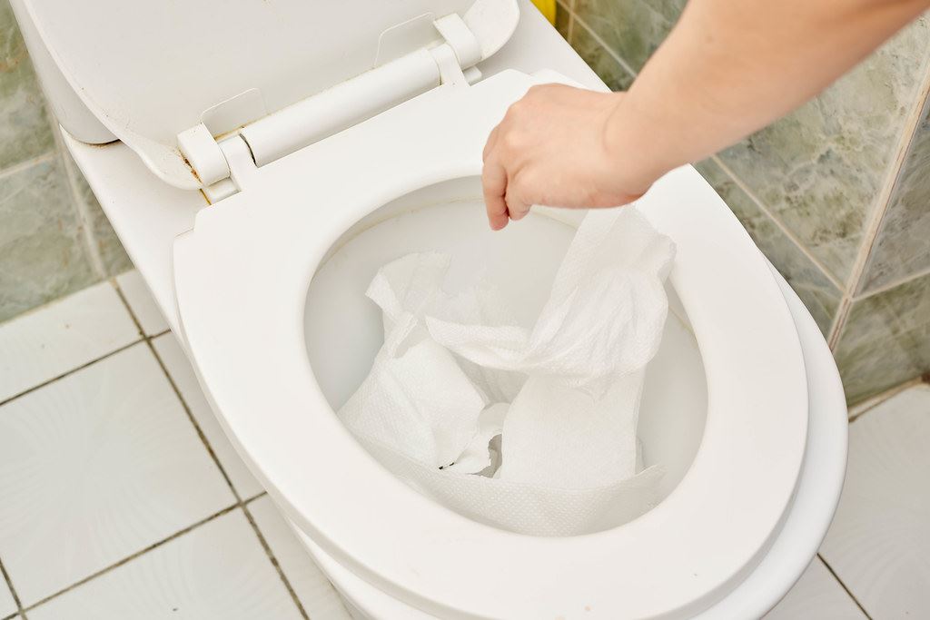 Plunging Your Toilet: Advice to Help You Plunge Toilets Correctly